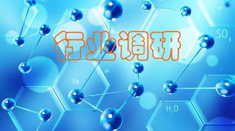 新材料 聚焦“小而精”，調研洞察化工原料需求，網絡技術研究賦能產業創新